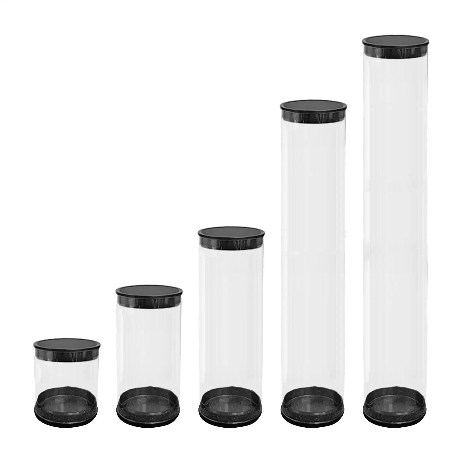 Golf Ball Case Cylinder Collectible Portable Transparent Golf Ball Storage Tube Packaging Box Container Golf Accessories