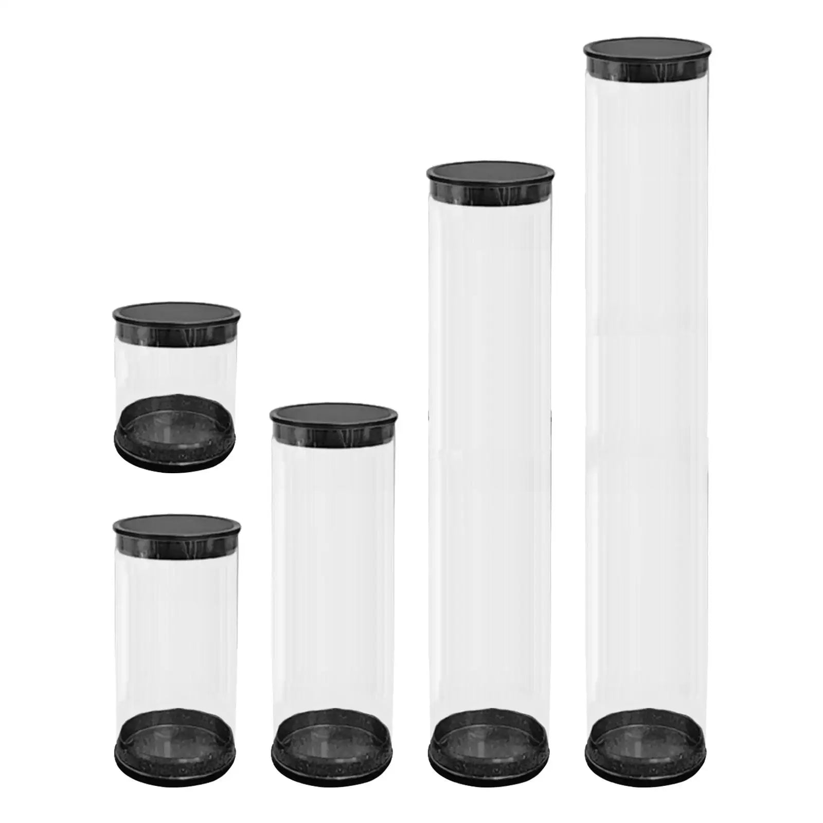 Golf Ball Case Cylinder Collectible Portable Transparent Golf Ball Storage Tube Packaging Box Container Golf Accessories