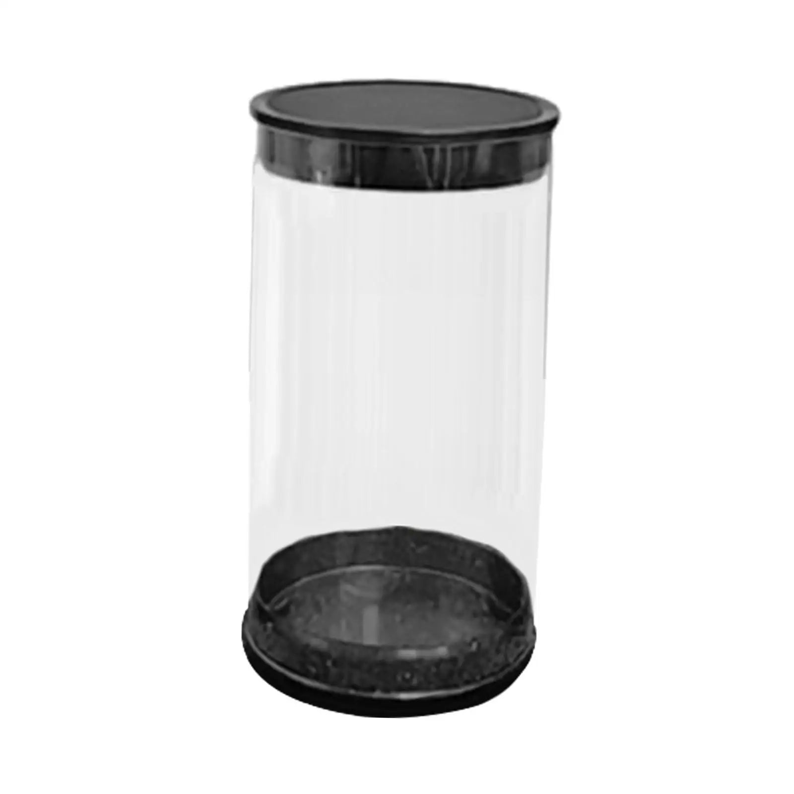 Golf Ball Case Cylinder Collectible Portable Transparent Golf Ball Storage Tube Packaging Box Container Golf Accessories